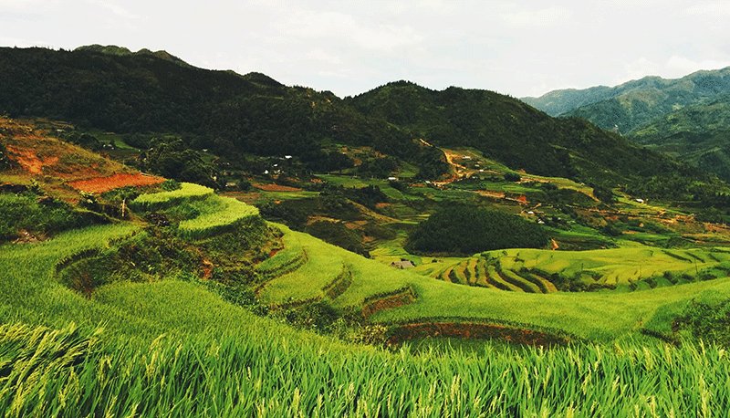 AGע�������(�й�)������ҳ