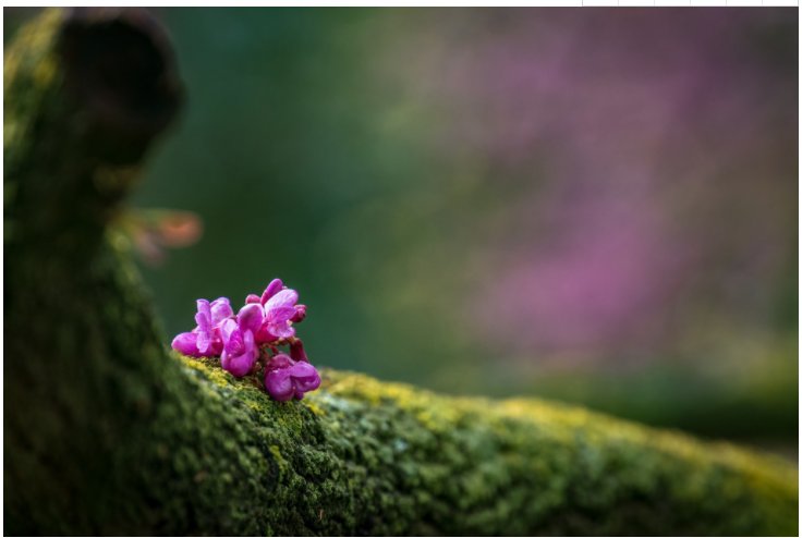 AGע�������(�й�)������ҳ