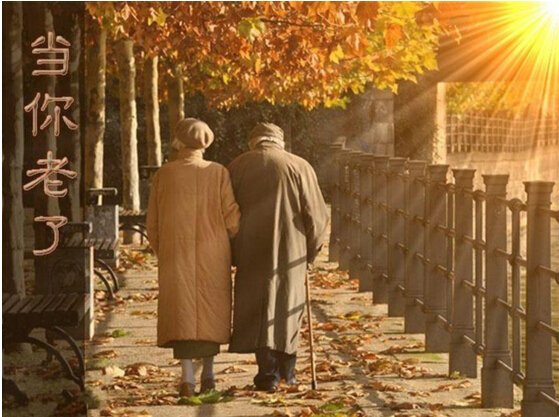 AGע�������(�й�)������ҳ